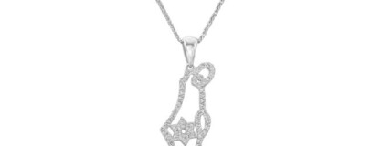 שרשרת זהב עם מפה של ארץ ישראל ומגן דוד