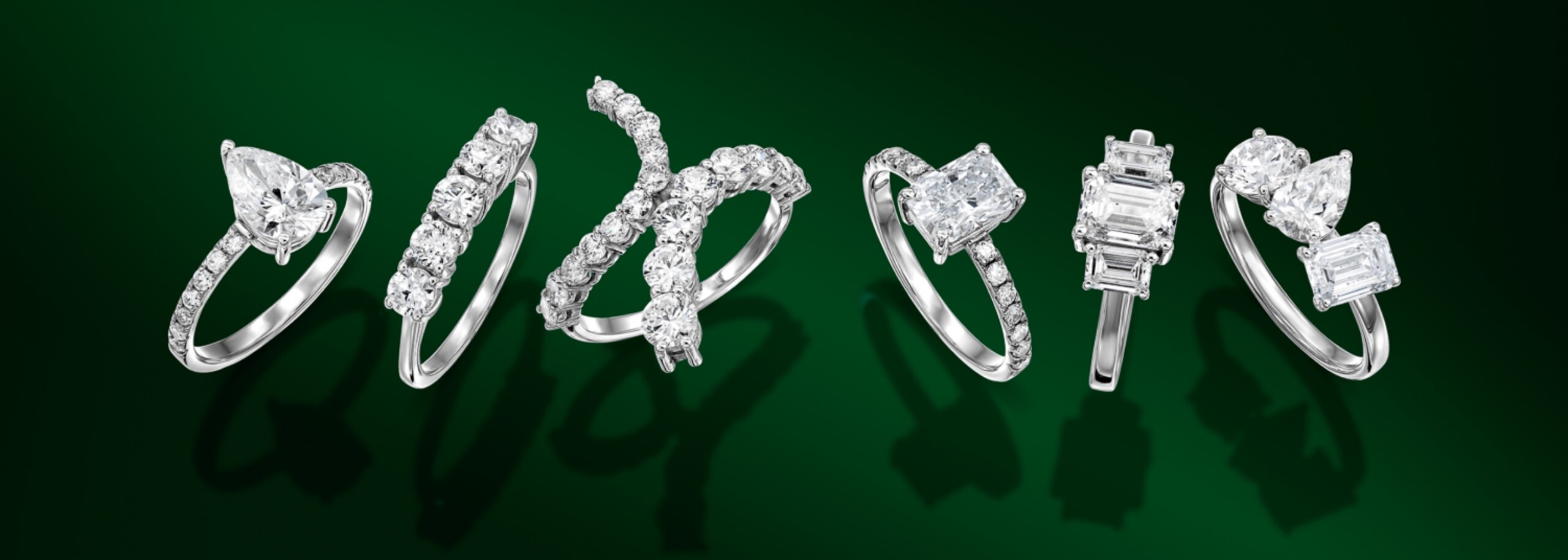 הקולקציות שלנו